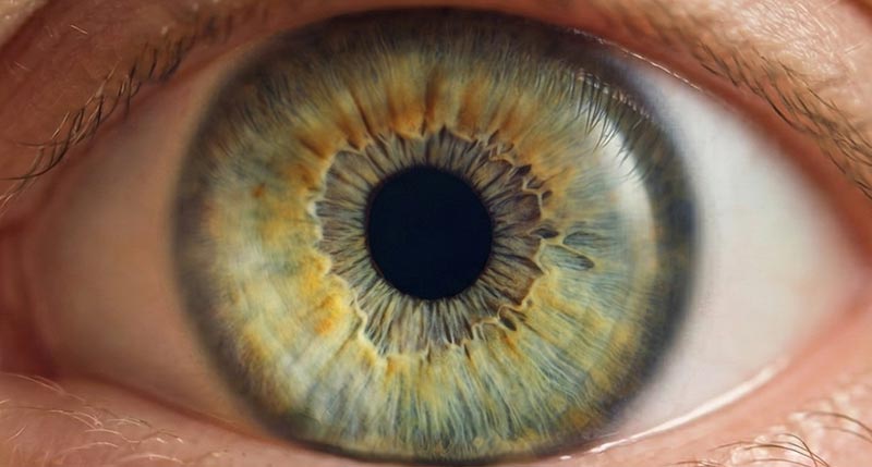 What Your Optometrist Looks for During a Dilated Eye Exam